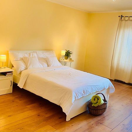 Sunny Attic Apartment Zvolen Eksteriør billede