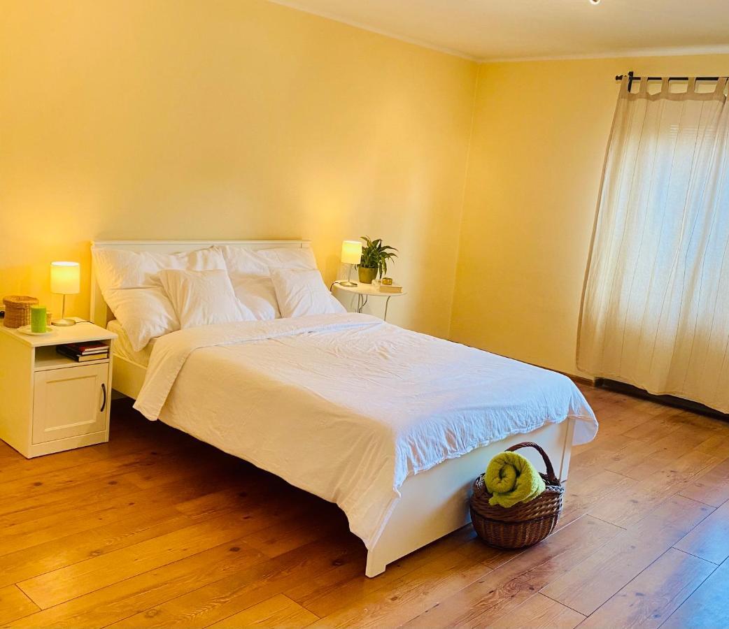Sunny Attic Apartment Zvolen Eksteriør billede